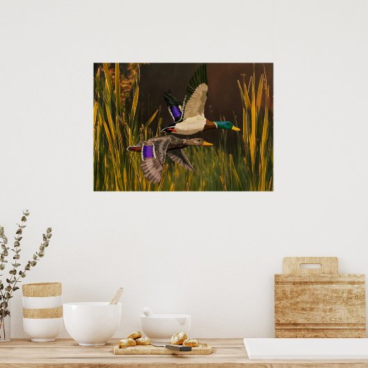 Mallard Ducks Poster (Küche)