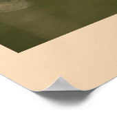 Mallard Ducks Poster (Ecke)