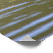 Mallard Ducks Poster (Ecke)