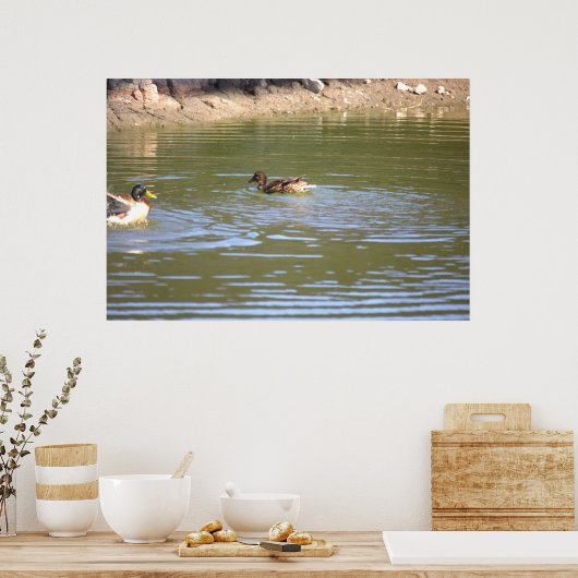 Mallard Ducks Poster (Küche)
