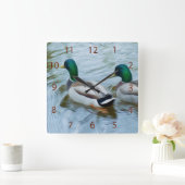 Mallard Ducks Quadratische Wanduhr (Zuhause)