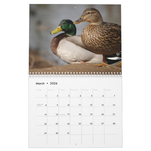 Mallard Ducks Sportsmen Kalender (Mär 2026)