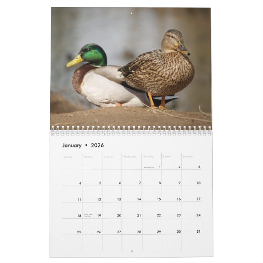 Mallard Ducks Sportsmen Kalender (Jan 2026)