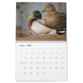 Mallard Ducks Sportsmen Kalender (Mär 2027)