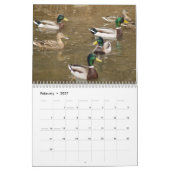 Mallard Ducks Sportsmen Kalender (Feb 2027)