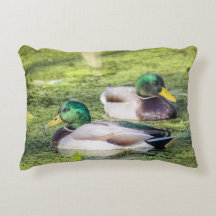 Mallard Ducks Throw Kissen