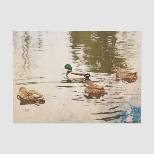 Mallard Ducks Tissue Paper Seidenpapier (Vorderseite)