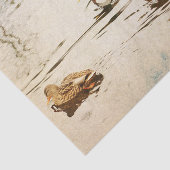 Mallard Ducks Tissue Paper Seidenpapier (Ausschnitt)