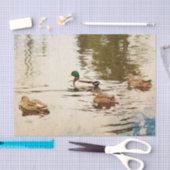 Mallard Ducks Tissue Paper Seidenpapier (Handwerk)