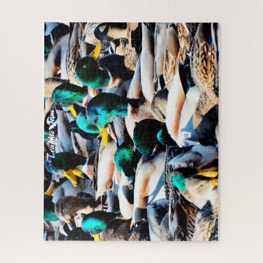 Mallard Ducks Traffic Jam Jigsaw Puzzle (Vertikal)
