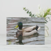 Mallard Einladung (Stehend Vorderseite)