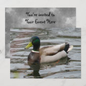 Mallard Einladung (Vorne/Hinten)