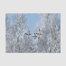 Mallard Encks Flying Snow Foto Seidenpapier