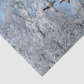 Mallard Encks Flying Snow Foto Seidenpapier (Ausschnitt)