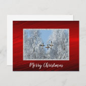 Mallard Encks Flying Snow Foto Weihnachten Postkarte (Vorne/Hinten)