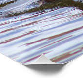 Mallard Encks Foto Poster (Ecke)