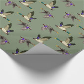 Mallard Encks Geschenkpapier (Ecke)