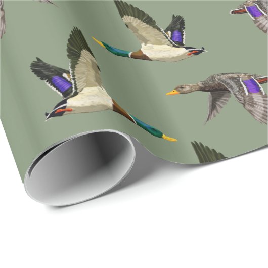 Mallard Encks Geschenkpapier (Rolleneckpunkt)