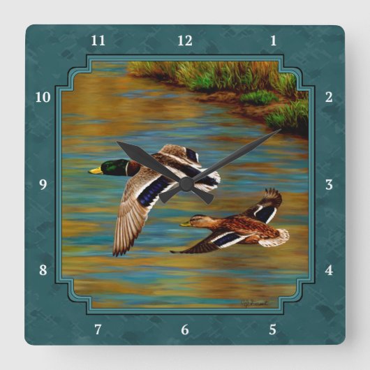 Mallard Encks im Flug Aquamarin Quadratische Wanduhr (Vorderseite)