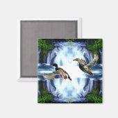 Mallard Encks Magnet (Vorderseite/Rückseite)