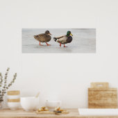 Mallard Encks on Ice Poster (Küche)