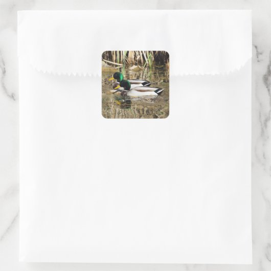 Mallard Encks Sticker (Tasche)