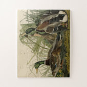 Mallard Encks von Audubon's Birds of America Puzzle (Vertikal)