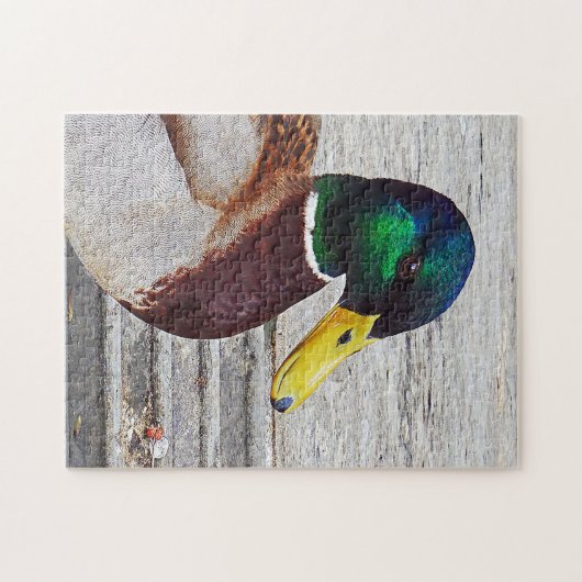 Mallard Ente Puzzle (Horizontal)