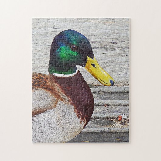 Mallard Ente Puzzle (Vertikal)