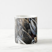Mallard-Ente-Schwänze Kaffeetasse (Mittel)