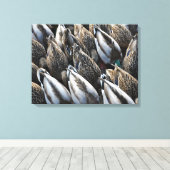 Mallard-Ente-Schwänze Leinwanddruck (Insitu (Holzboden))