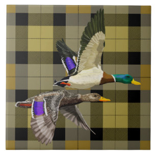 Mallard-Enten auf Kariert Fliese