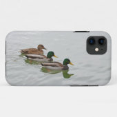 Mallard Enten drucken iPhone 5 Fall Case-Mate iPhone Hülle (Rückseite (Horizontal))
