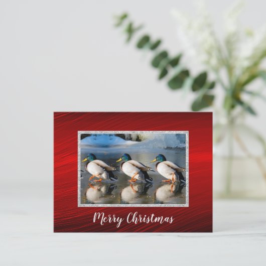 Mallard Enten Eis Foto Weihnachtskarte Postkarte (Stehend Vorderseite)