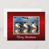 Mallard Enten Eis Foto Weihnachtskarte Postkarte (Vorne/Hinten)