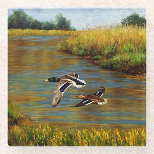 Mallard Enten fliegen über Teich Glasuntersetzer (Vorderseite)