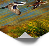 Mallard Enten fliegen über Teich Poster (Ecke)