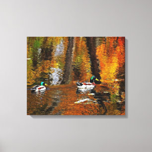 Mallard Enten in Herbstfarben Leinwanddruck