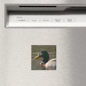 Mallard Face Magnet (In Situ (Geschirrspüler))