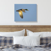Mallard Flying in Open Sky Wrapped Canvas Print Leinwanddruck (Insitu (Schlafzimmer))