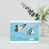 Mallard im Teich, Goyō Hashiguchi Postkarte (Stehend Vorderseite)