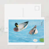 Mallard im Teich, Goyō Hashiguchi Postkarte (Vorne/Hinten)