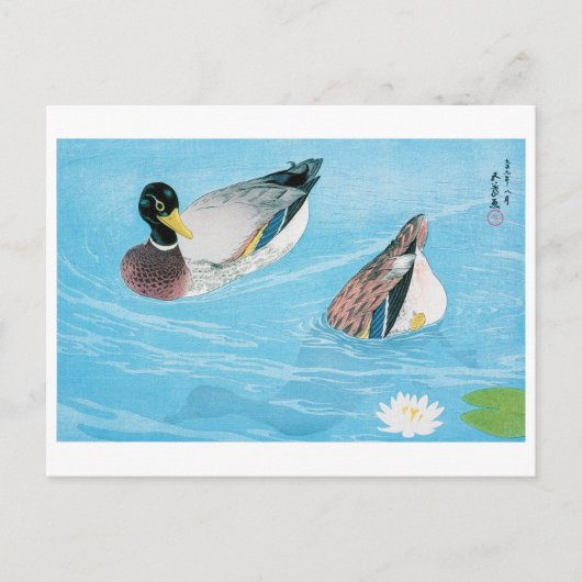 Mallard im Teich, Goyō Hashiguchi Postkarte (Vorderseite)