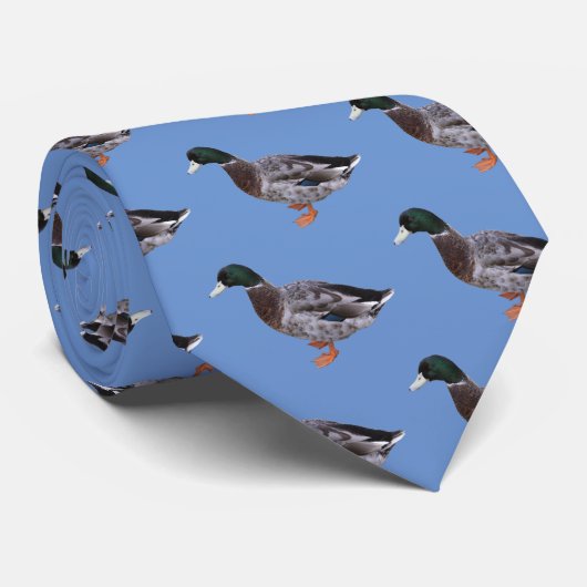 Mallard Krawatte (Gerollt)