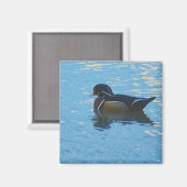 Mallard Magnet (Vorderseite/Rückseite)