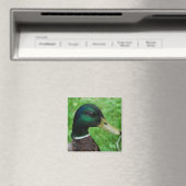 Mallard Magnet (In Situ (Geschirrspüler))