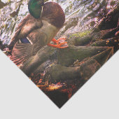 Mallard Mirror Seidenpapier (Ausschnitt)