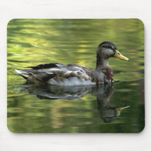 Mallard Mirrored auf grünem Wasser Mousepad