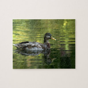 Mallard Mirrored auf grünem Wasser Puzzle