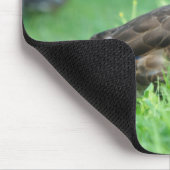 Mallard Mousepad (Ecke)